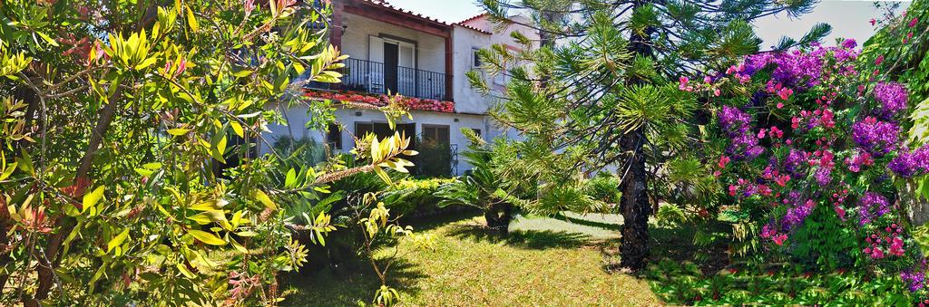 Casa Cigliano Hotel Forio  Ngoại thất bức ảnh